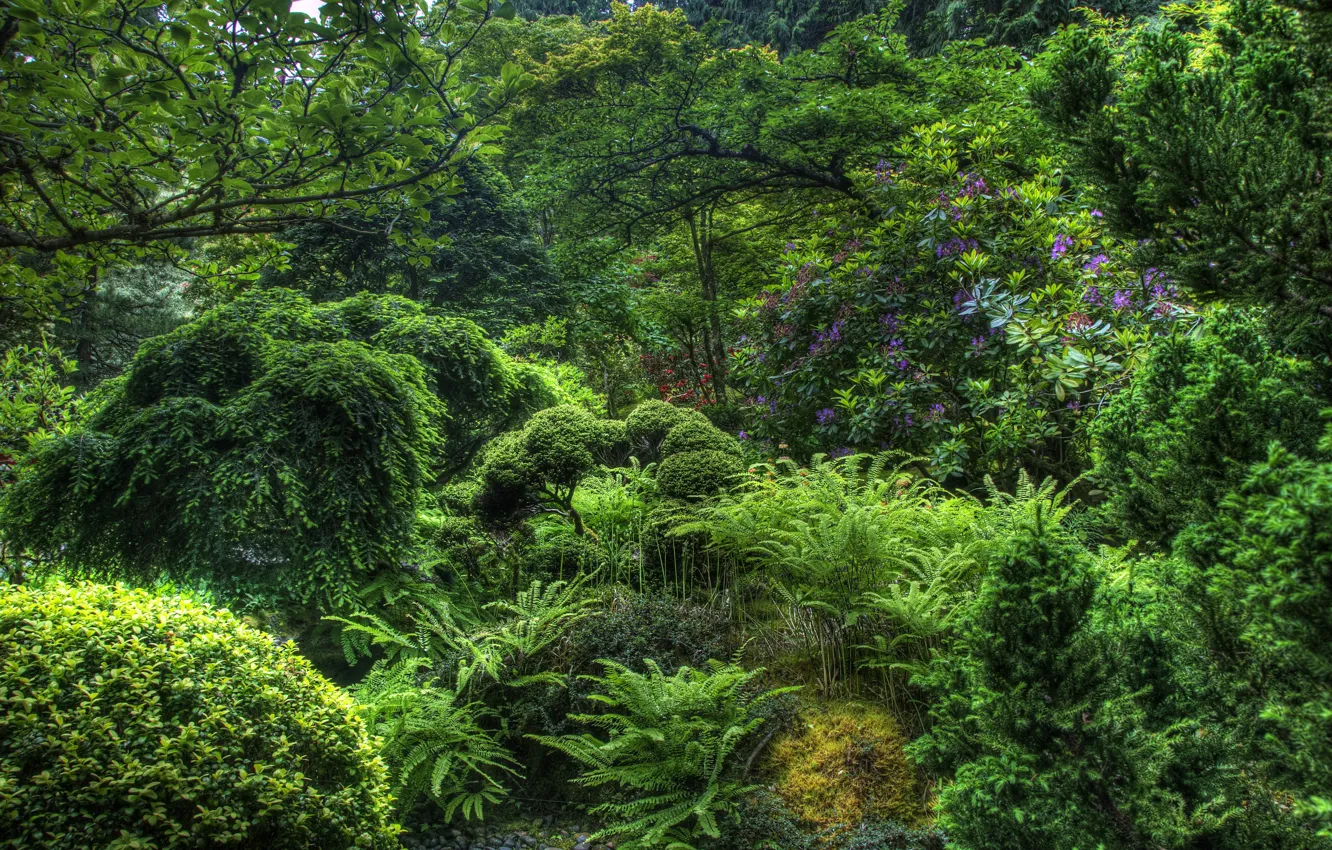 Photo wallpaper trees, flowers, garden, shrub