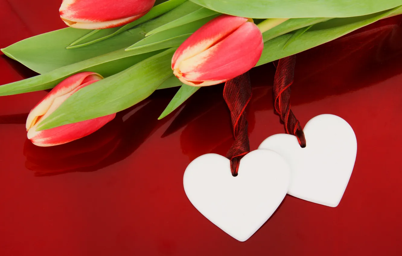 Photo wallpaper flower, love, holiday, heart, day, decoration, Valentine