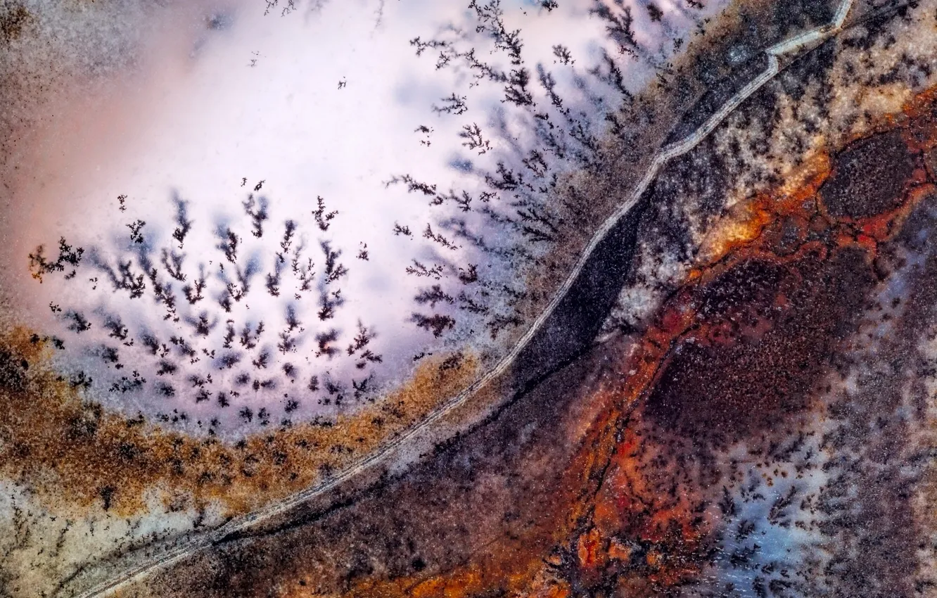 Photo wallpaper stones, pattern, moss