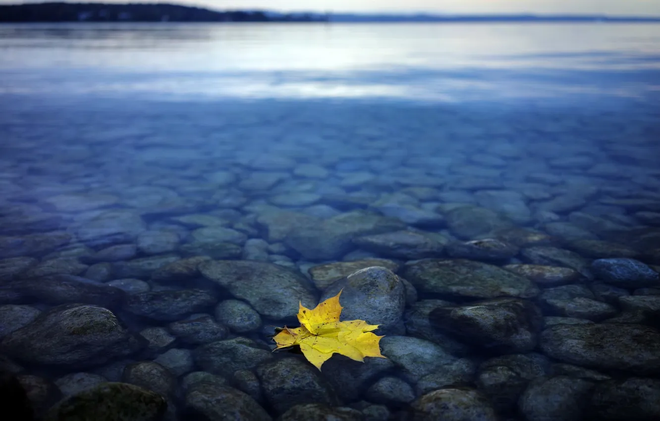 Photo wallpaper nature, sheet, lake