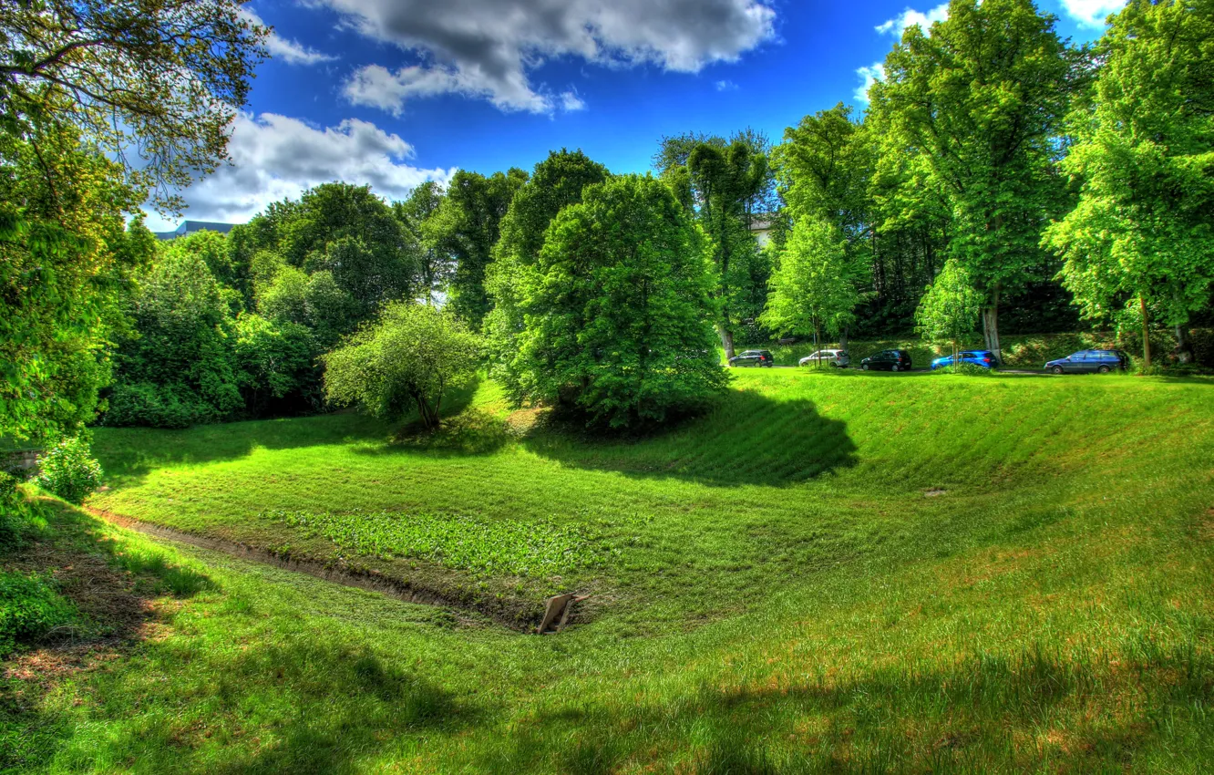 Photo wallpaper road, greens, summer, the sky, grass, the sun, clouds, trees