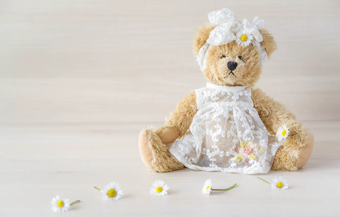 Photo wallpaper toy, chamomile, dress, bear, girl, bow