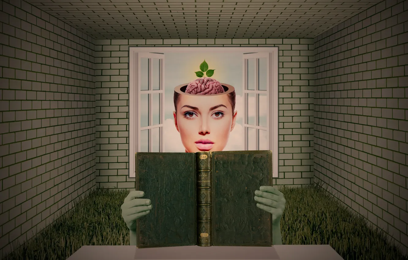 Photo wallpaper girl, book, brain
