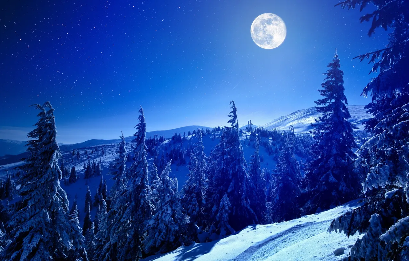 Photo wallpaper winter, forest, the sky, snow, trees, landscape, mountains, night