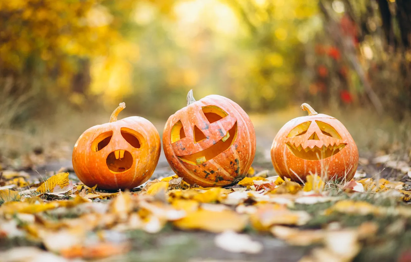 Photo wallpaper road, autumn, orange, yellow, nature, smile, Park, emotions