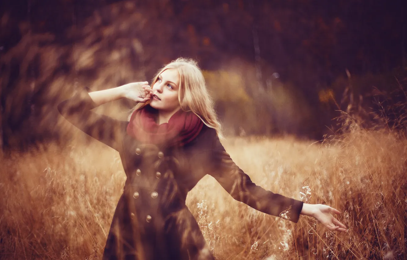 Photo wallpaper field, autumn, blonde, field, autumn, bokeh, bokeh, blonde