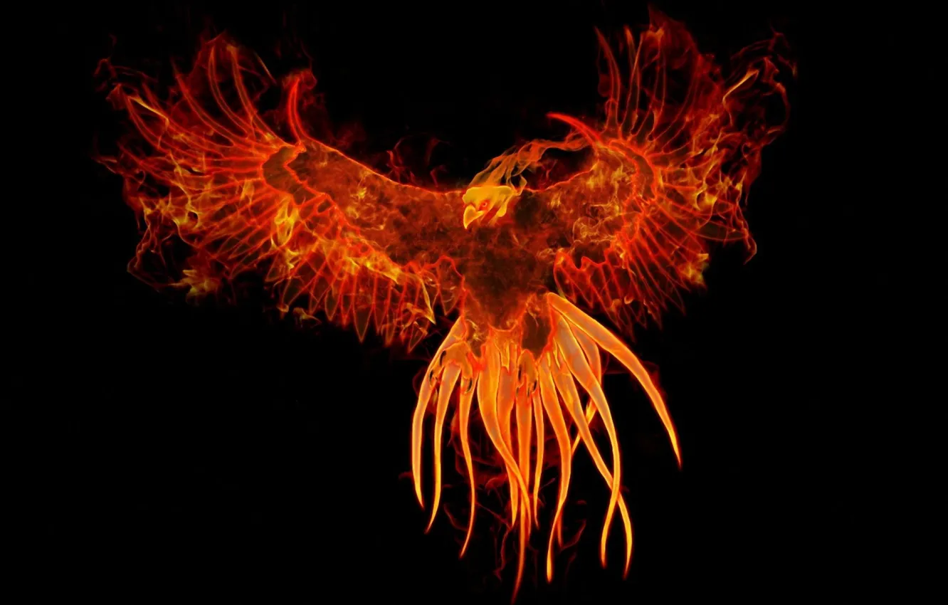Photo wallpaper lights, bird, minimalism, black background, Phoenix, Minimalism, Artificial Intelligence, artificial intelligence