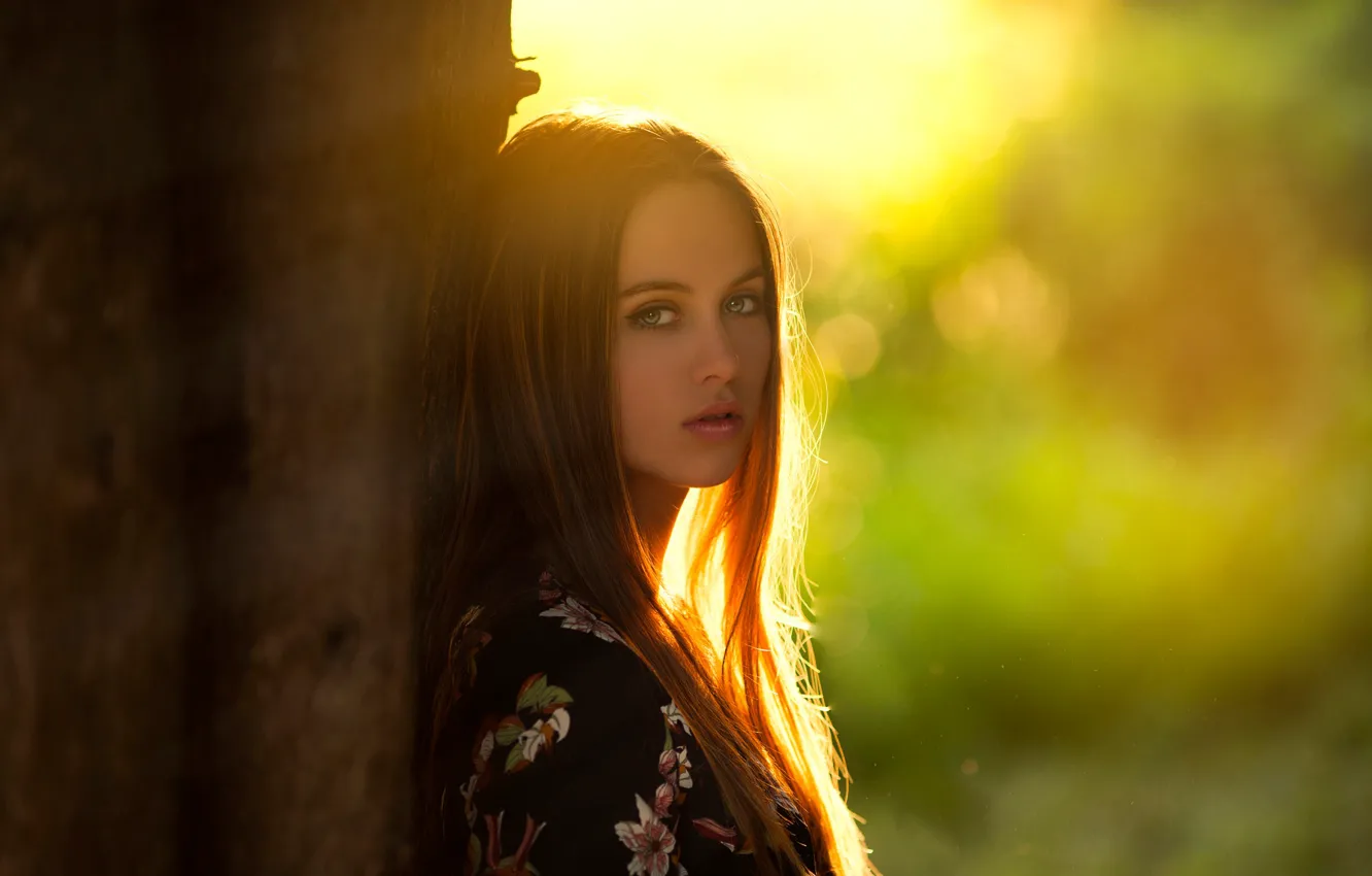 Photo wallpaper girl, Model, green eyes, long hair, photo, sunset, tree, lips