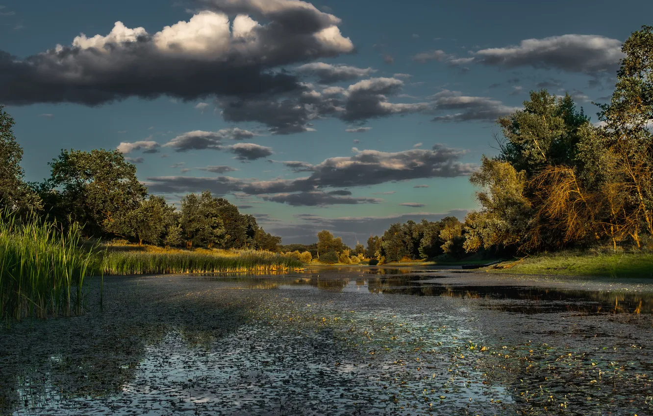 Photo wallpaper clouds, trees, river, water surface, Across the lake, Vasilev Roman