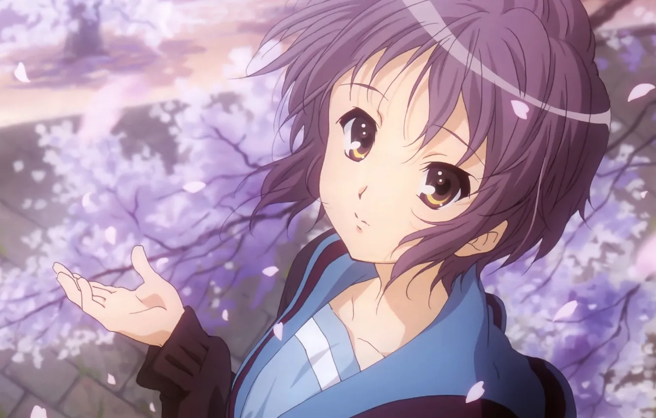 Photo wallpaper spring, anime, Sakura, art, girl, The Melancholy Of Haruhi Suzumiya