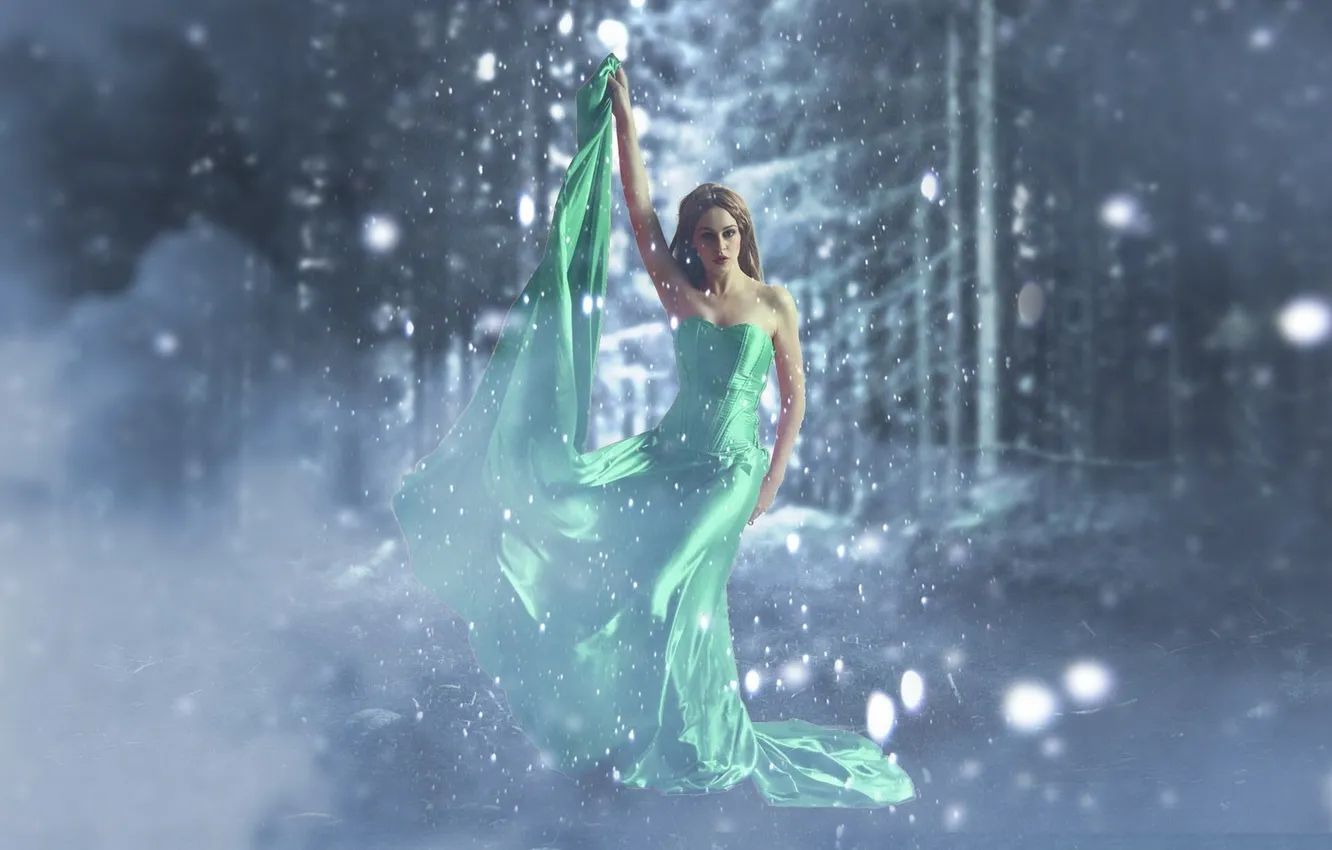 Photo wallpaper forest, snow, silk, dress, cereal