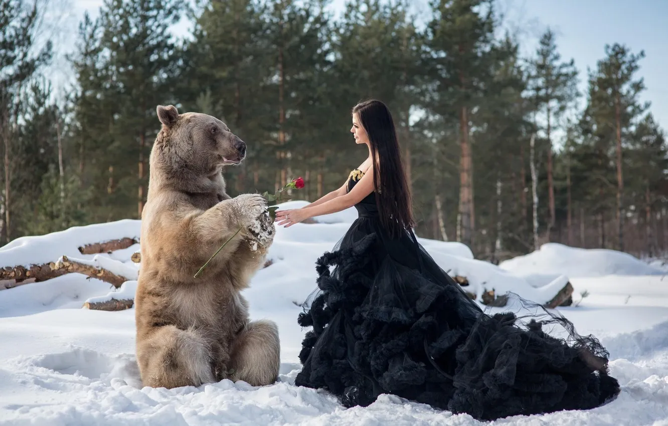 Photo wallpaper winter, forest, girl, snow, flowers, nature, roses, ate