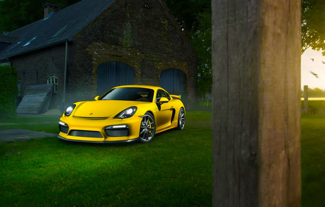 Photo wallpaper Porsche, Cayman, Grass, Front, Color, Yellow, Summer, Supercar