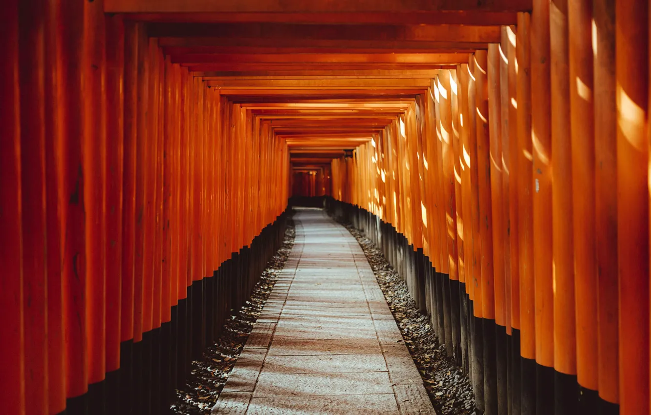 Photo wallpaper Japan, Wallpaper, Temple, Red corridor
