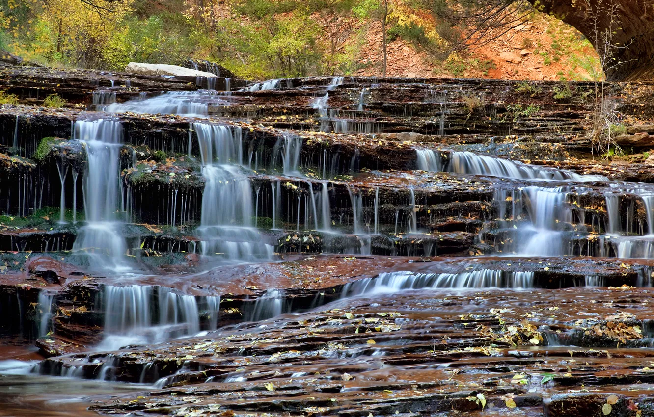 Photo wallpaper leaves, stream, rocks, waterfall, Zion National Park, USA, Utah