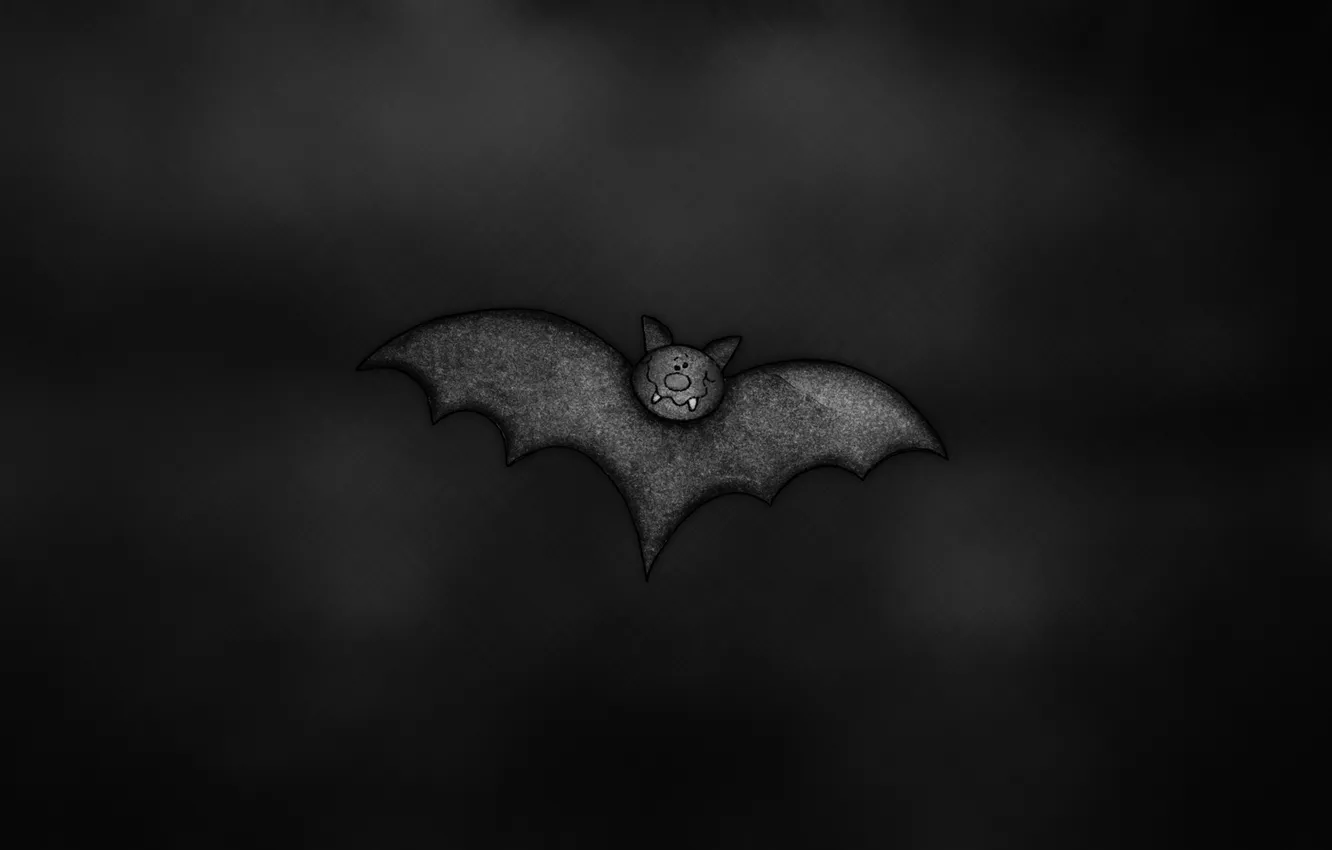 Photo wallpaper the dark background, bird, wings, bat, bat, smiley