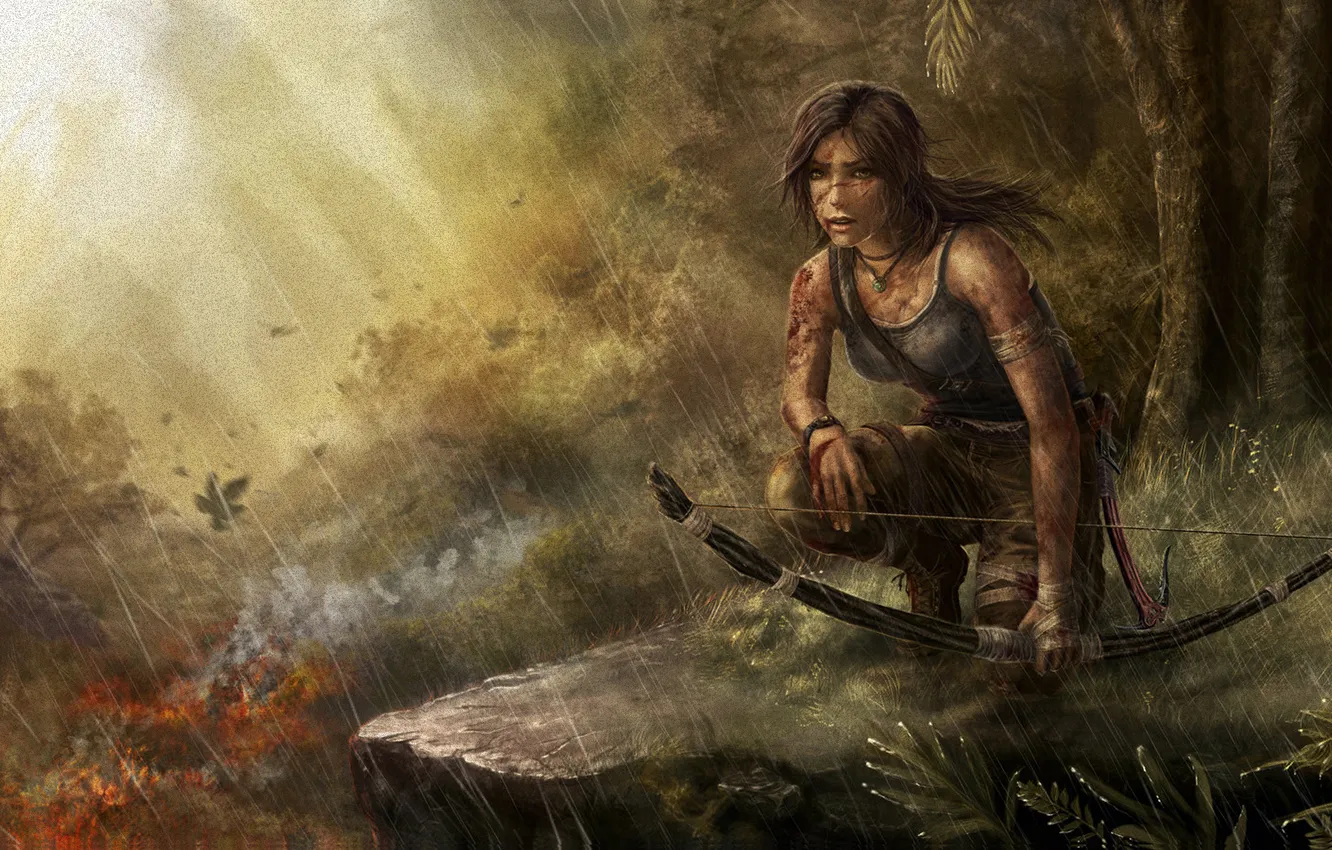 Photo wallpaper girl, gun, weapons, Tomb Raider, Tomb raider