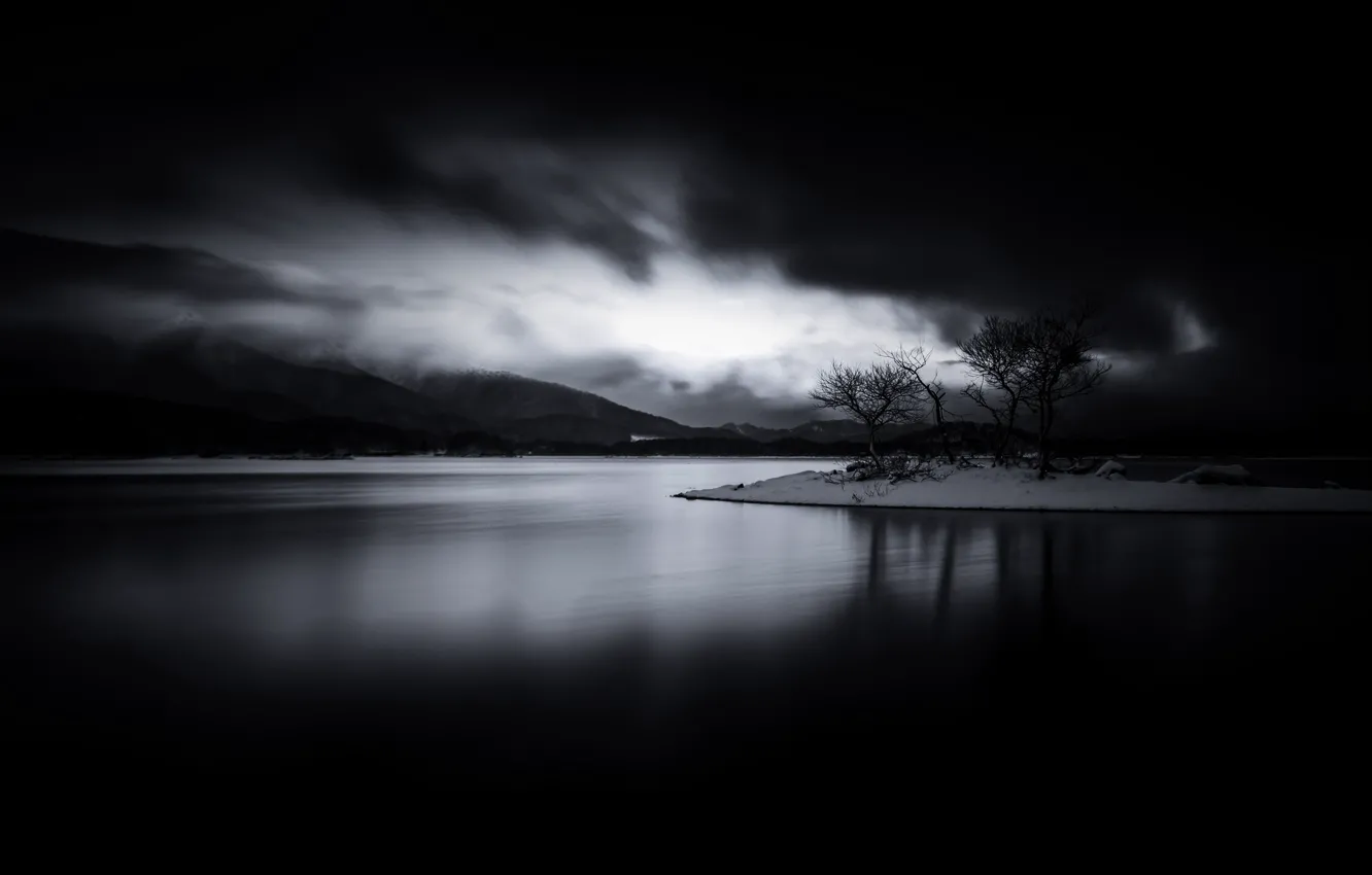 Photo wallpaper trees, lake, b & W photo