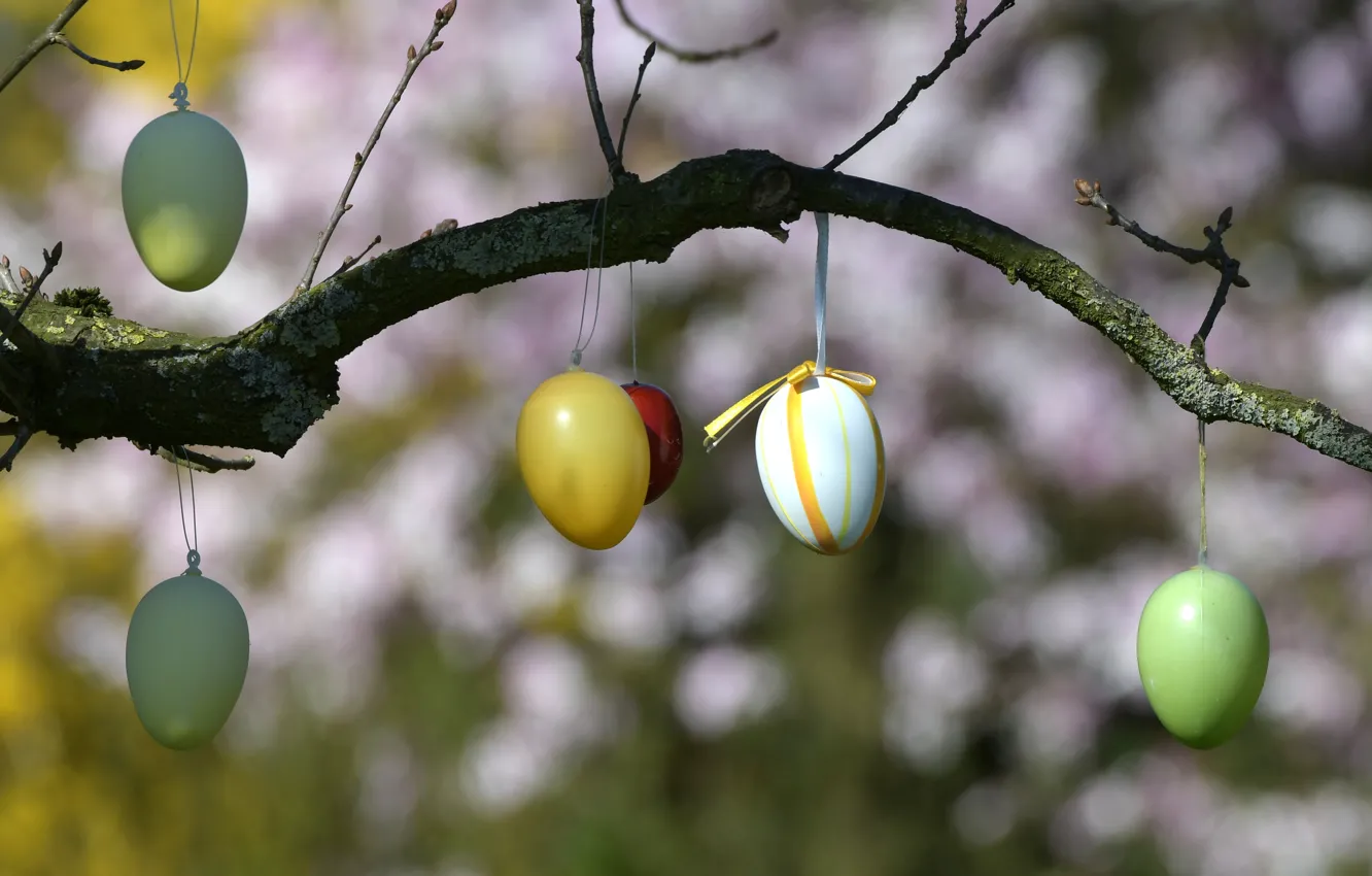 Photo wallpaper tree, holiday, eggs, branch