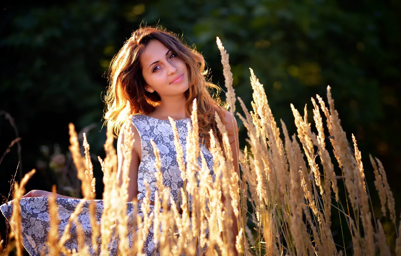 Photo wallpaper summer, portrait, reed, sunlight, Les