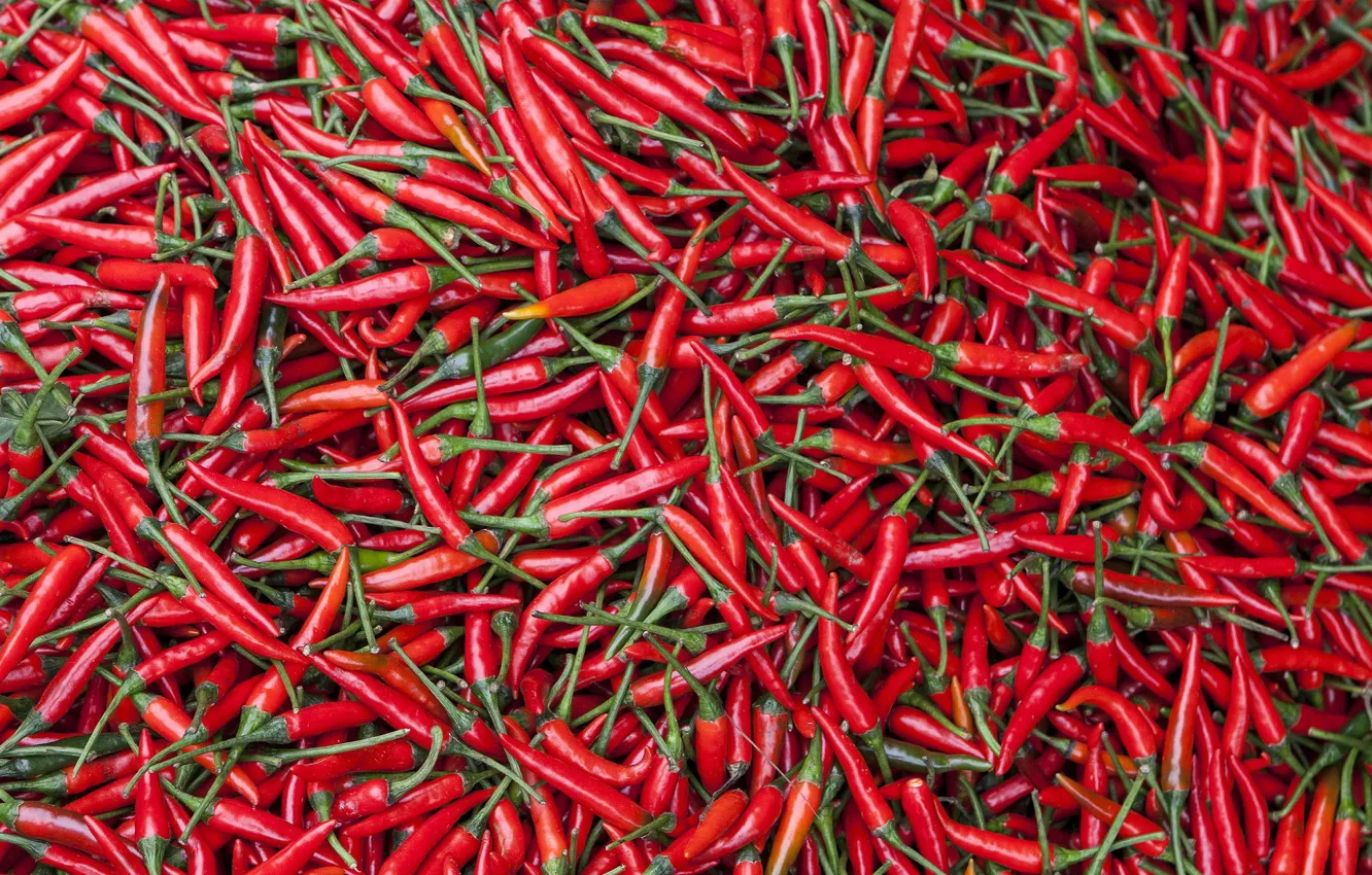 Photo wallpaper pepper, food, background