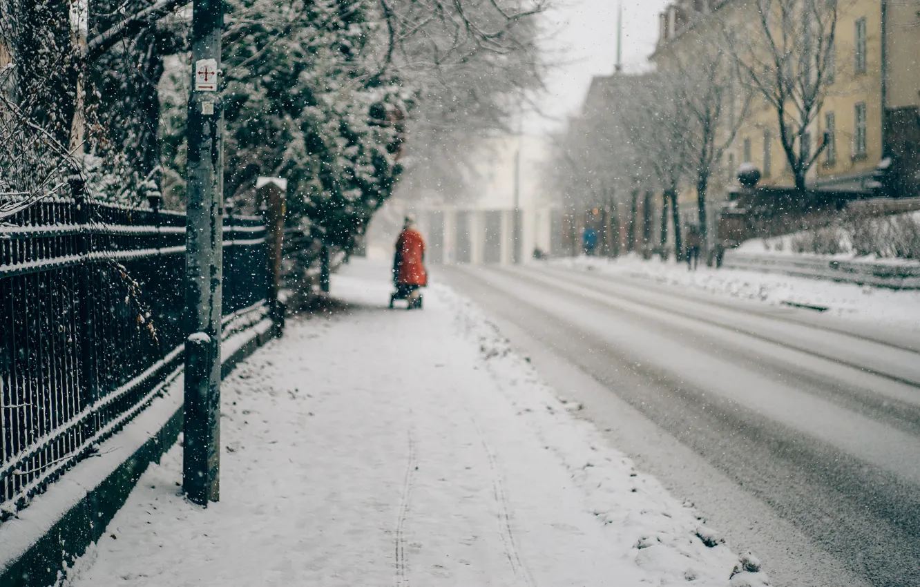 Photo wallpaper winter, snow, street