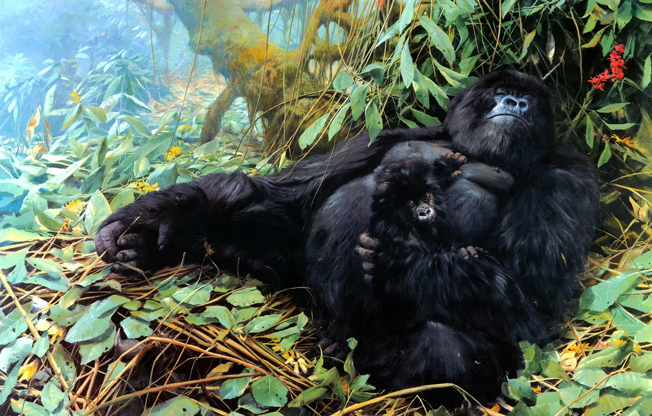 Photo wallpaper look, leaves, trees, flowers, branches, nature, pose, stay