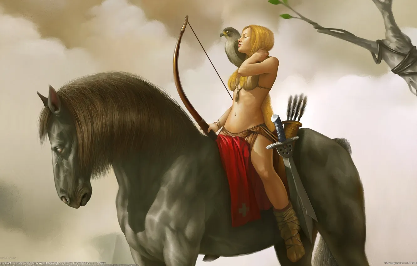 Photo wallpaper girl, trees, weapons, horse, horse, sword, rider, bow