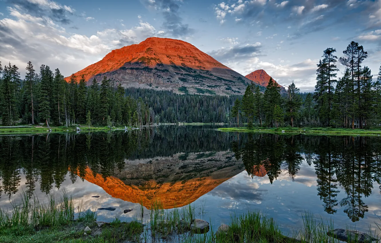 Photo wallpaper forest, mountains, lake, Utah, Mirror Lake, Bald Mountain