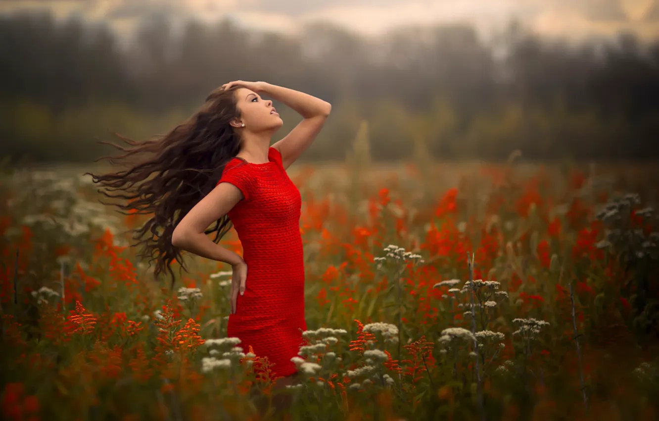 Photo wallpaper field, girl, the wind, breeze, in red