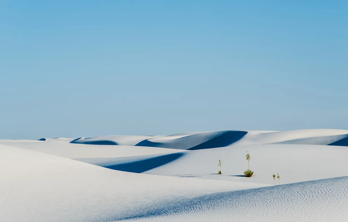 Photo wallpaper sky, desert, nature, sand, plants, shrubs, white sand, dunes