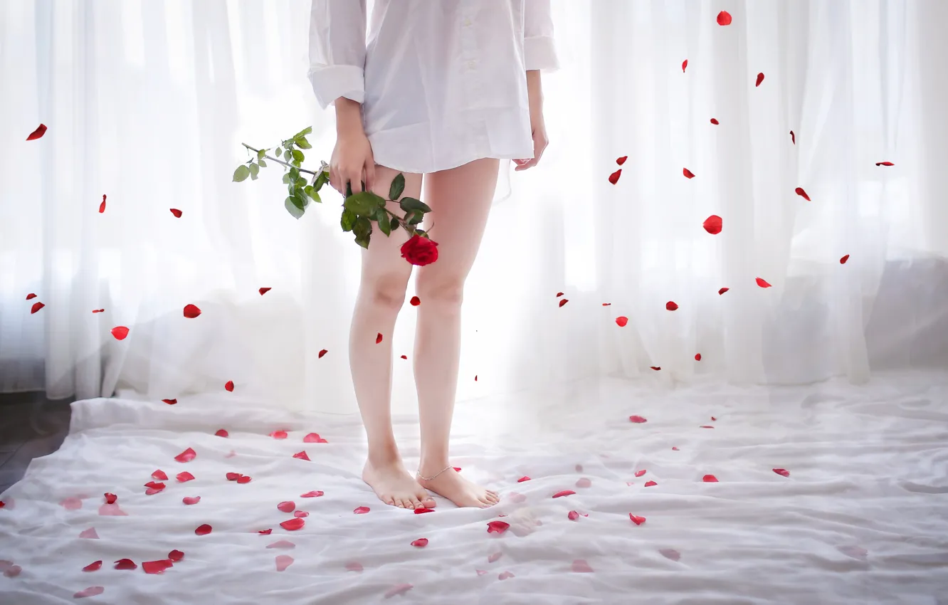 Photo wallpaper girl, rose, bed