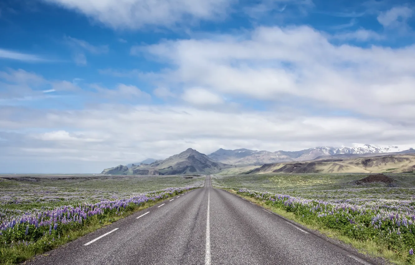 Photo wallpaper road, flowers, mountains