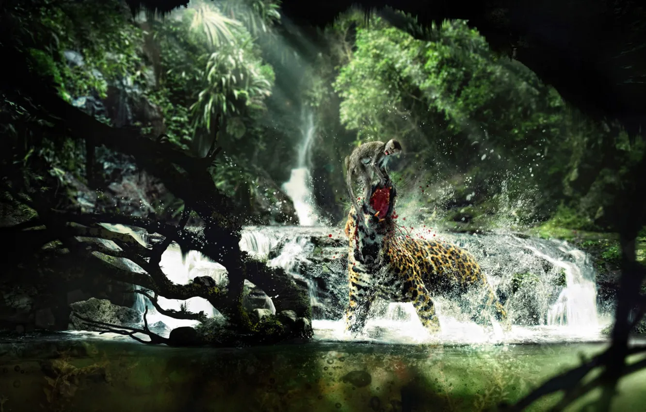 Photo wallpaper monkey, leopard, fight