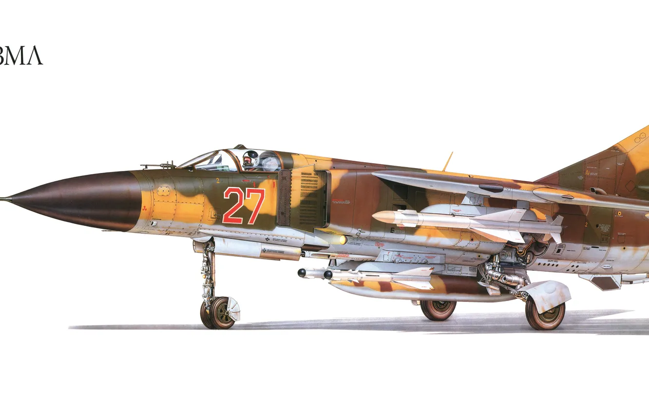 Photo wallpaper figure, white background, combat aircraft