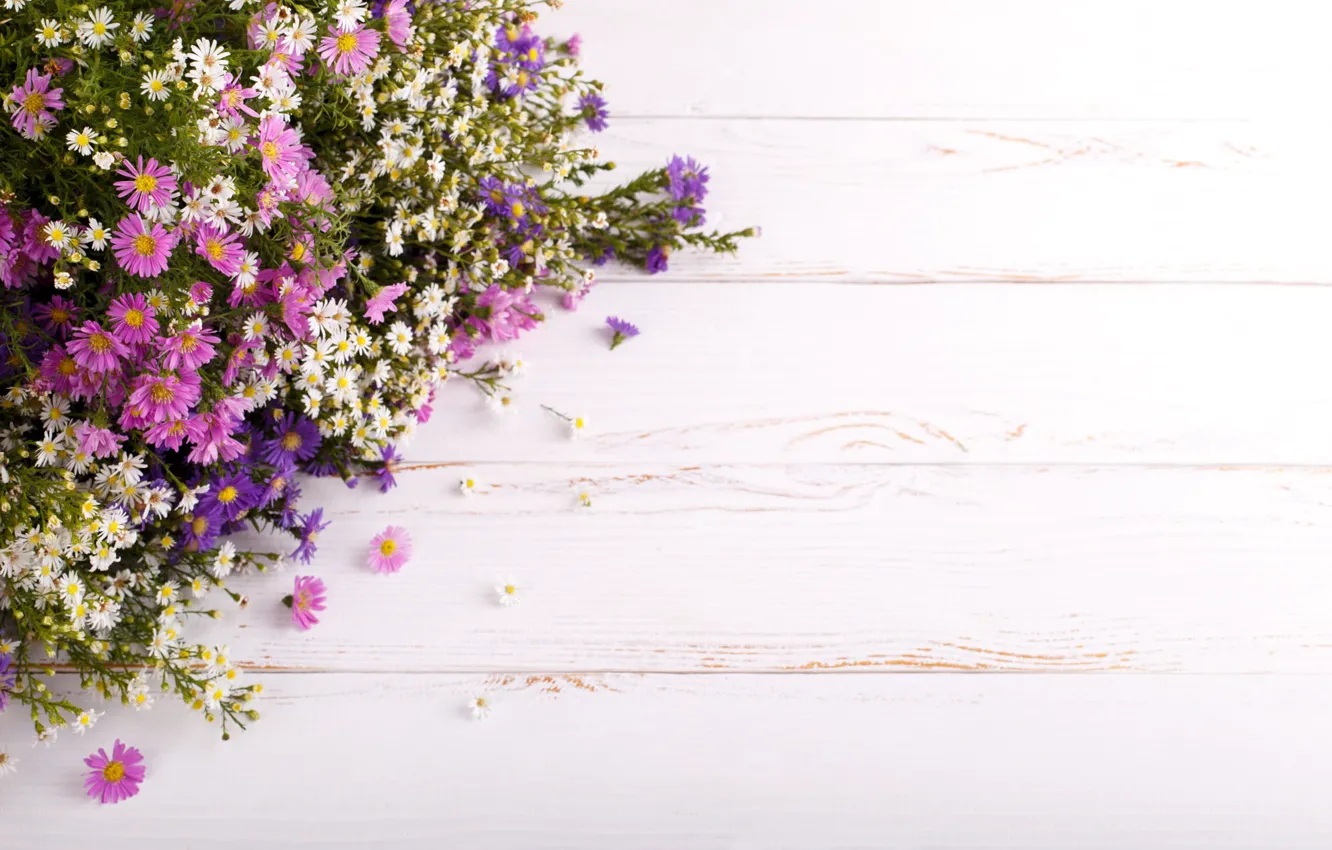 Photo wallpaper flowers, Board, chamomile, bouquet, petals, pink, white, light background