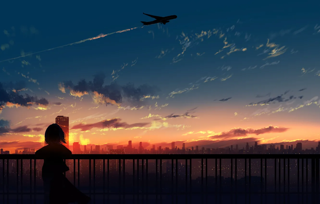 Photo wallpaper the sky, sunset, the city, the plane, girl