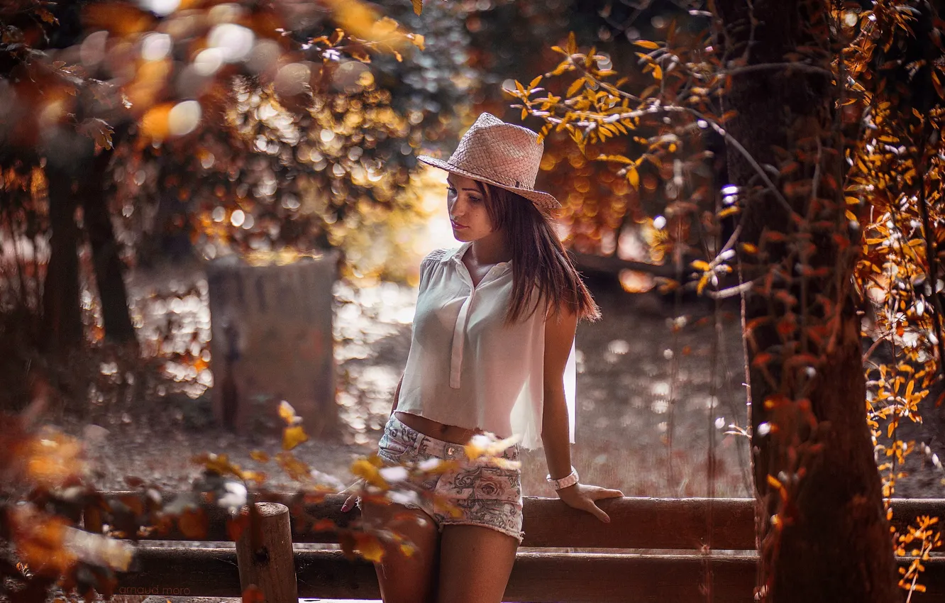 Photo wallpaper autumn, girl, mood