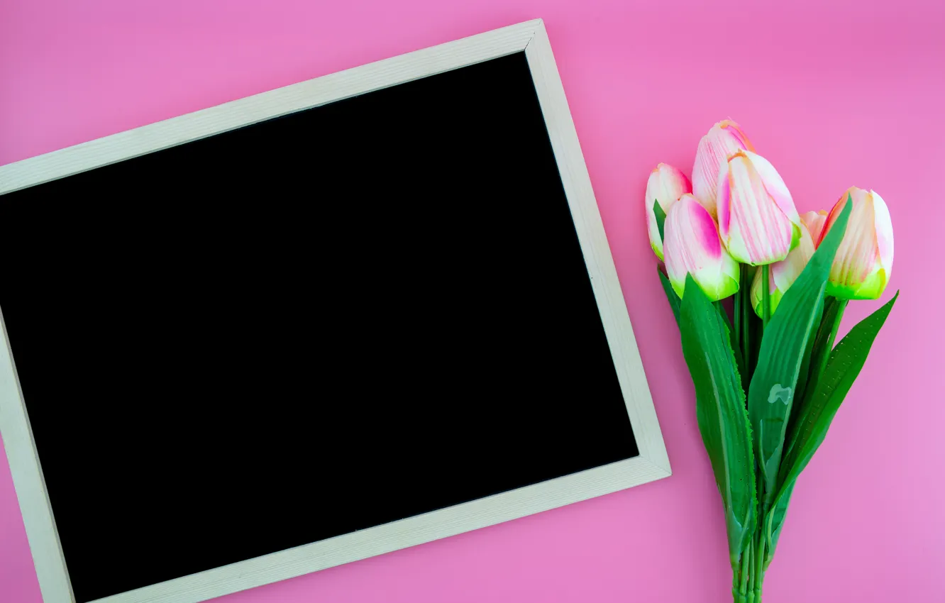 Photo wallpaper flowers, Board, tulips