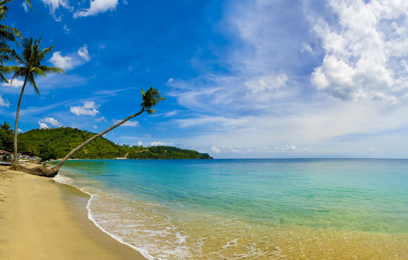 Photo wallpaper beach, palm trees, the ocean, Indonesia