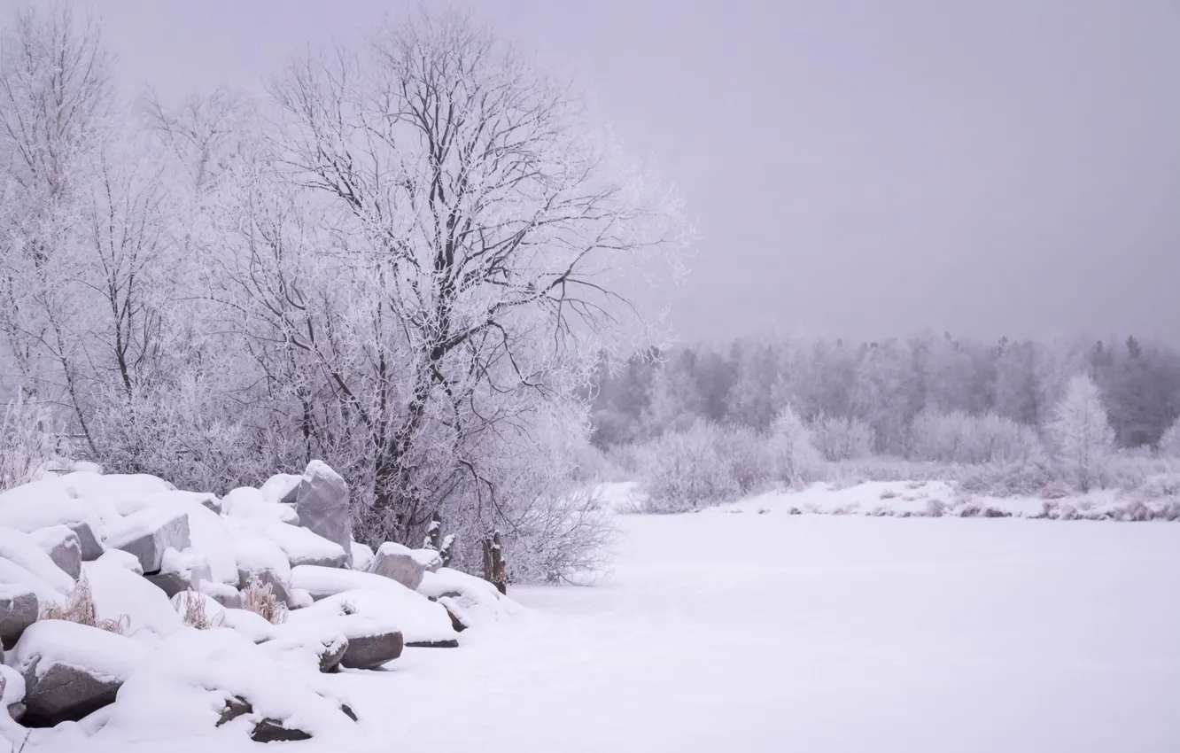 Photo wallpaper snow, landscape, tree, stone, the snow