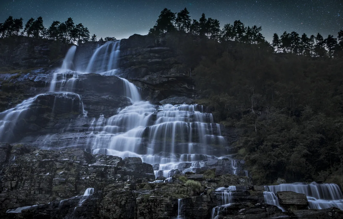 Photo wallpaper forest, summer, water, stars, night, nature, stones, tree