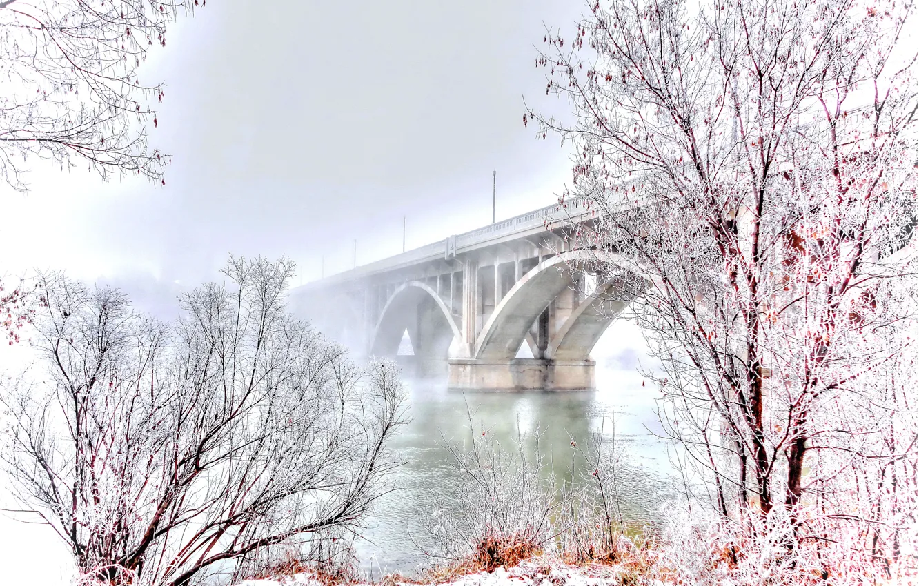 Photo wallpaper river, trees, landscape, bridge, winter, snow