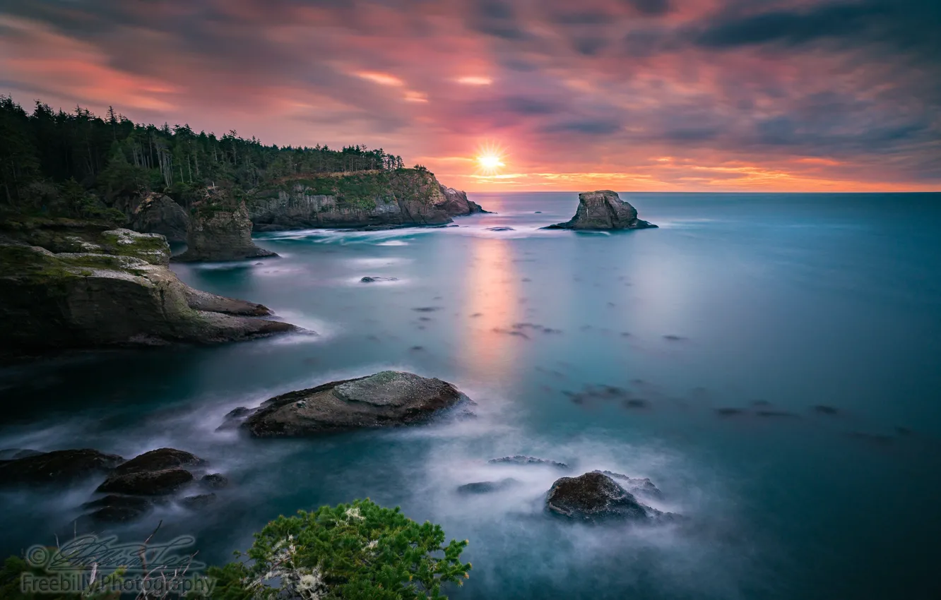 Photo wallpaper sea, forest, the sky, sunset, rocks, William Freebilly