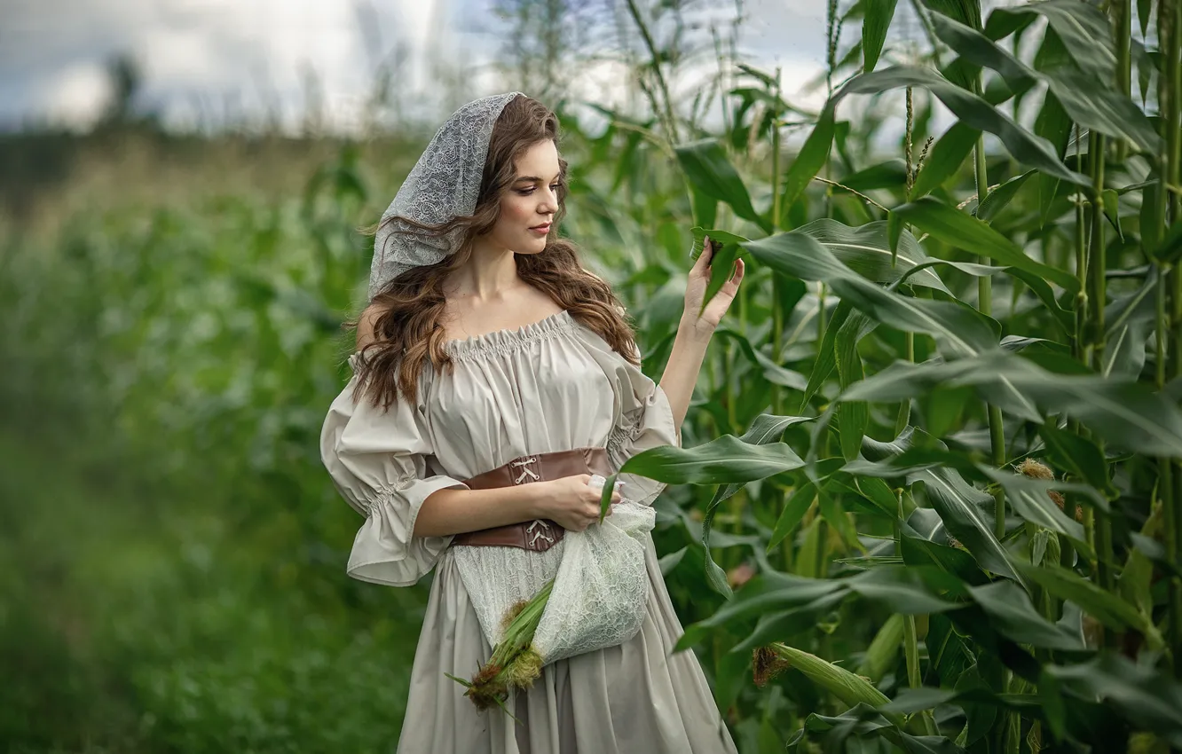 Photo wallpaper field, girl, nature, corn, dress, neckline, brown hair, curls