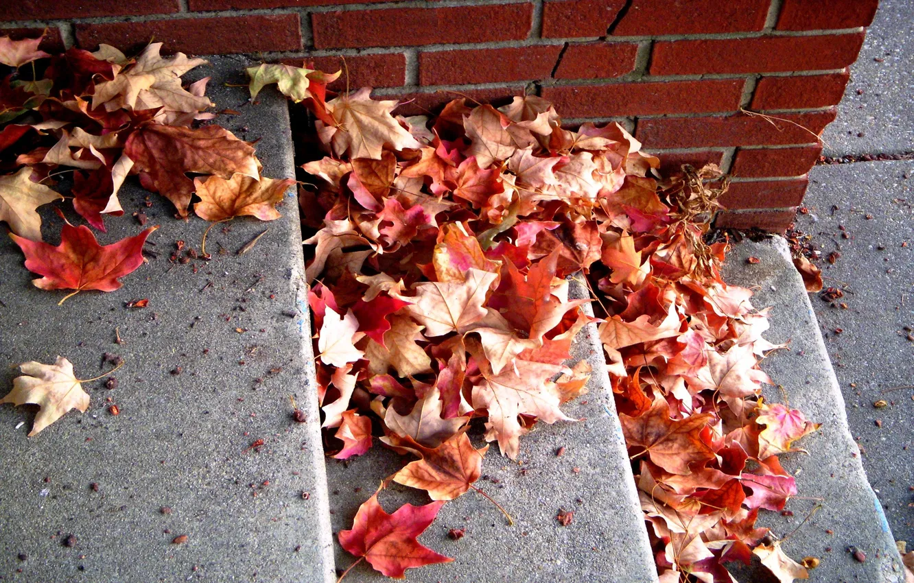 Photo wallpaper leaves, red, brick, stage, fallen, autumn