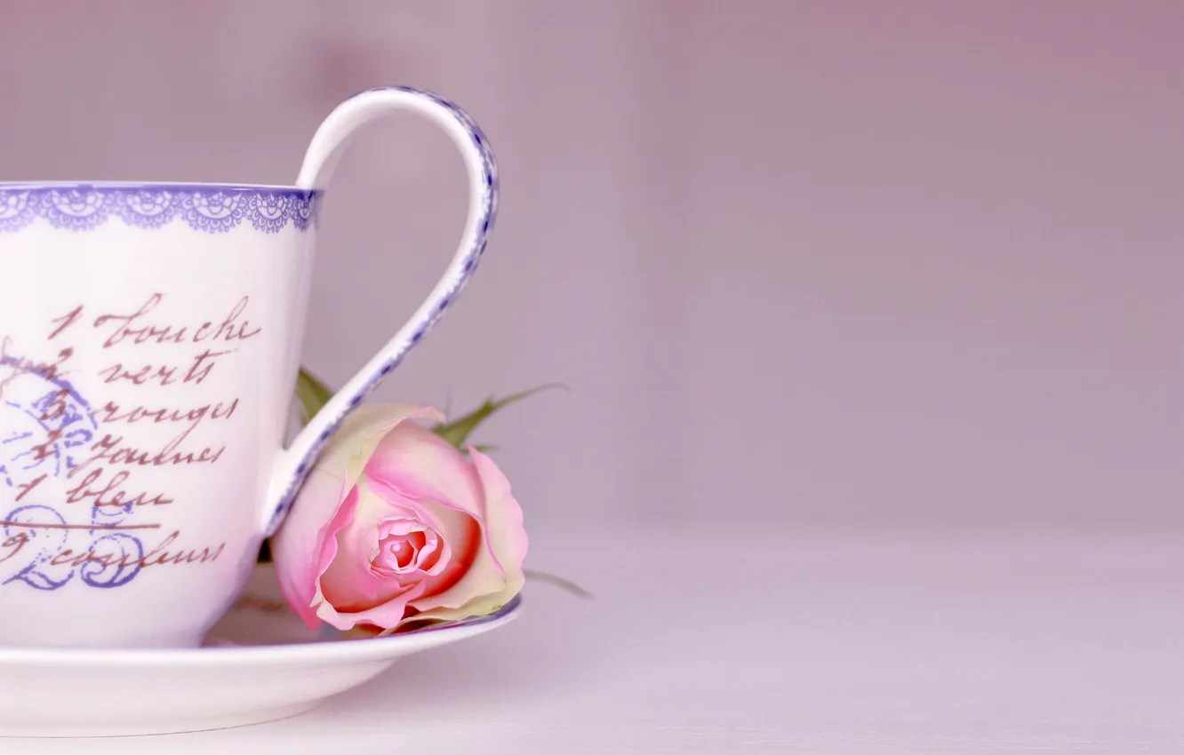Photo wallpaper flower, labels, background, pink, rose, Cup, words, saucer