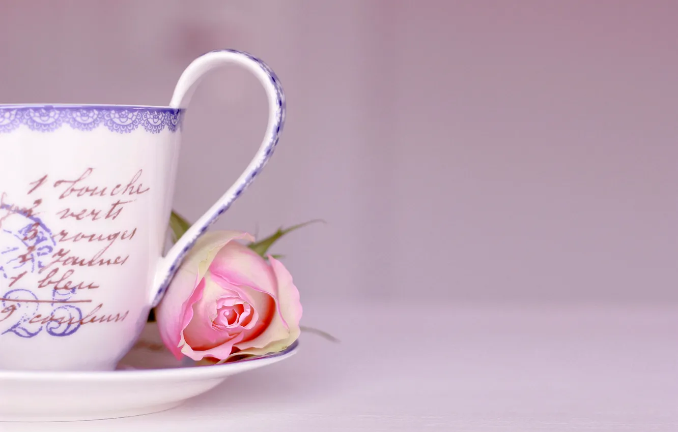 Photo wallpaper flowers, background, the inscription, roses, Cup, pink, words, saucer