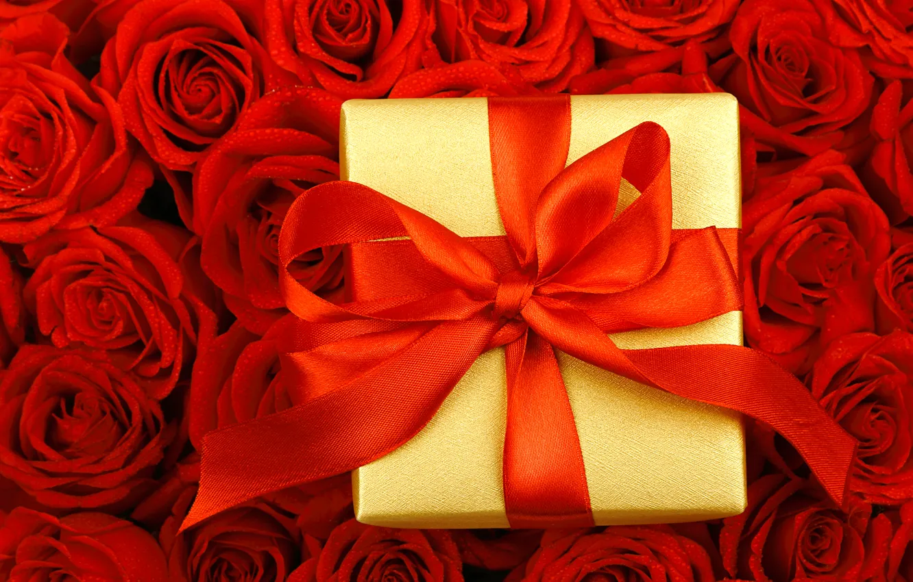 Photo wallpaper drops, flowers, box, gift, roses, tape