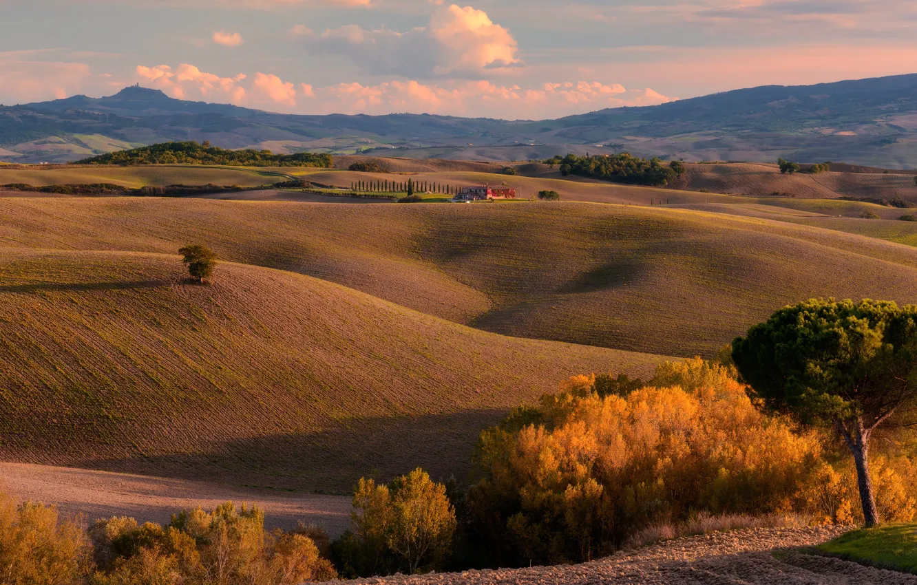 Photo wallpaper field, autumn, clouds, trees, mountains, nature, hills, foliage